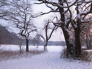 Schlosspark Herten, Manfred Jordan