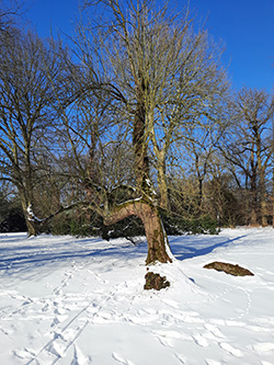 Schlosspark Herten, Manfred Jordan