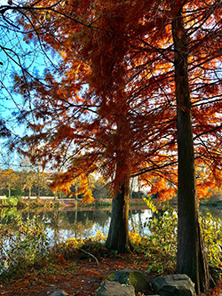 Schlosspark, Gabriele Antonia Keller